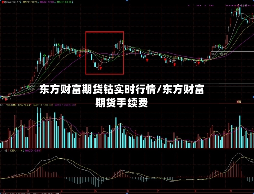 东方财富期货钴实时行情/东方财富期货手续费