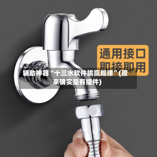 辅助神器“十三水软件输赢规律	”(原来确实是有插件)-第2张图片