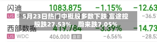 5月23日热门中概股多数下跌 富途控股跌27.53%，蔚来跌7.05%-第3张图片