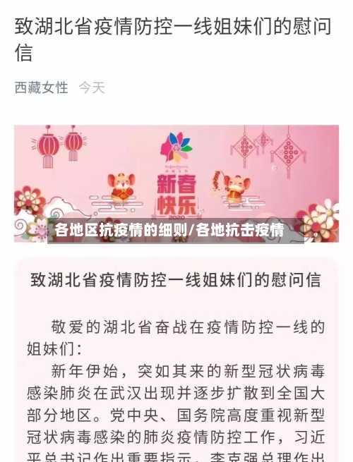 各地区抗疫情的细则/各地抗击疫情-第3张图片