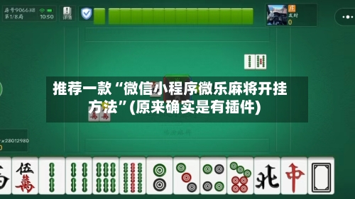 推荐一款“微信小程序微乐麻将开挂方法”(原来确实是有插件)-第2张图片