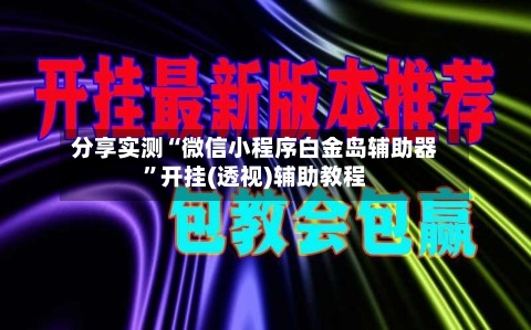 分享实测“微信小程序白金岛辅助器”开挂(透视)辅助教程-第3张图片