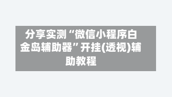 分享实测“微信小程序白金岛辅助器”开挂(透视)辅助教程-第2张图片
