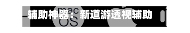 辅助神器：新道游透视辅助器”(透视挂)辅助透视教程-第2张图片
