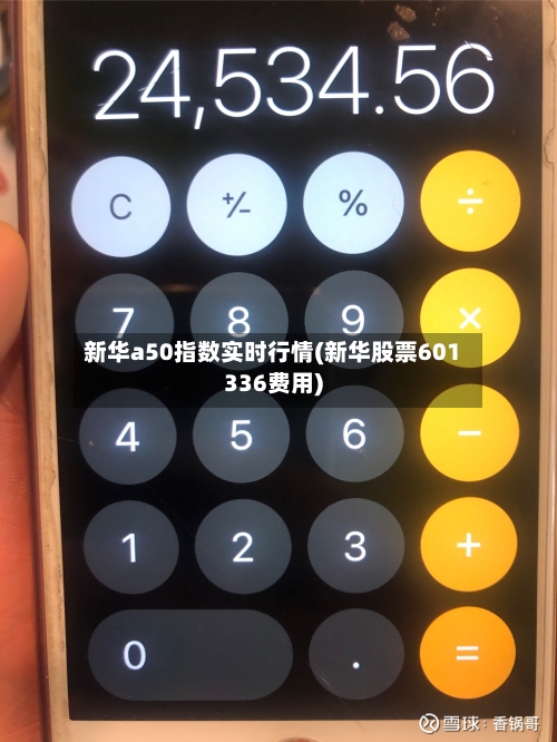 新华a50指数实时行情(新华股票601336费用)