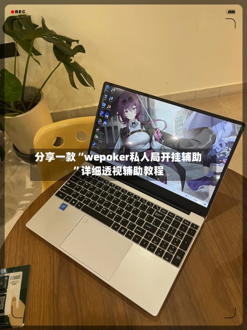 分享一款“wepoker私人局开挂辅助	”详细透视辅助教程-第2张图片
