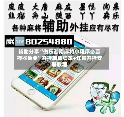 辅助分享“微乐湖南麻将小程序必赢神器免费”开挂辅助脚本+详细开挂安装教程-第3张图片
