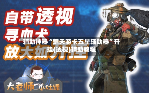 辅助神器“楚天游卡五星辅助器	”开挂(透视)辅助教程-第2张图片