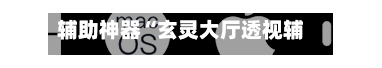 辅助神器“玄灵大厅透视辅助”(透视)开挂辅助脚本+详细开挂安装教程-第3张图片
