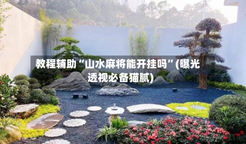 教程辅助“山水麻将能开挂吗”(曝光透视必备猫腻)-第2张图片