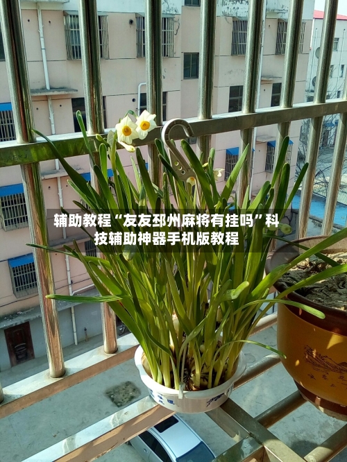 辅助教程“友友邳州麻将有挂吗”科技辅助神器手机版教程-第2张图片