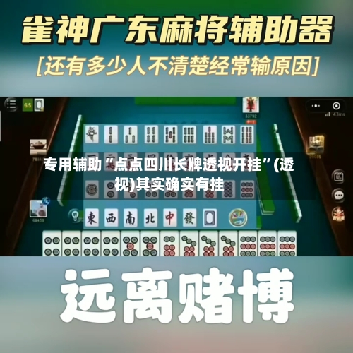 专用辅助“点点四川长牌透视开挂”(透视)其实确实有挂-第3张图片