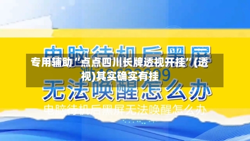 专用辅助“点点四川长牌透视开挂”(透视)其实确实有挂-第2张图片