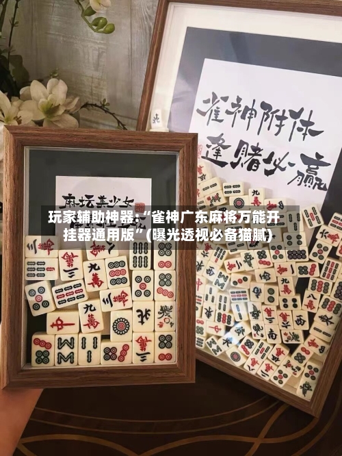 玩家辅助神器:“雀神广东麻将万能开挂器通用版”(曝光透视必备猫腻)-第2张图片