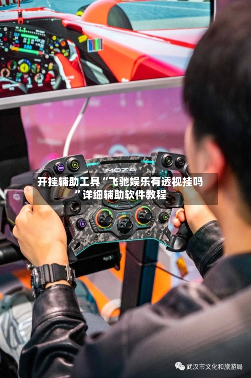 开挂辅助工具“飞驰娱乐有透视挂吗”详细辅助软件教程