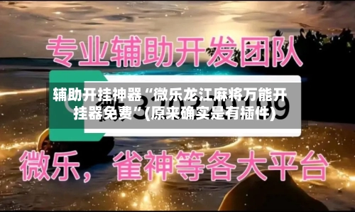 辅助开挂神器“微乐龙江麻将万能开挂器免费	”(原来确实是有插件)-第3张图片