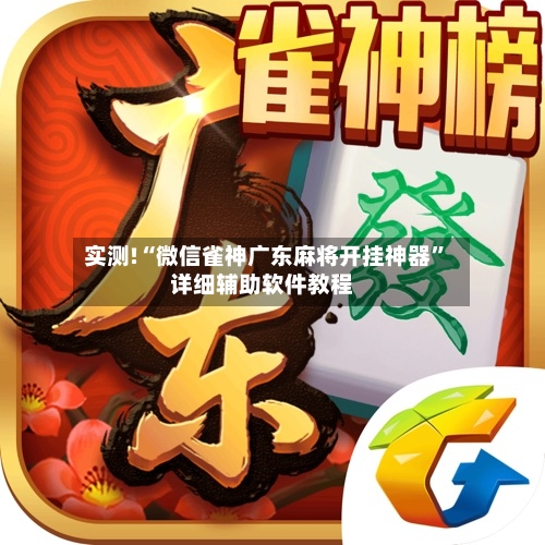 实测!“微信雀神广东麻将开挂神器”详细辅助软件教程-第3张图片