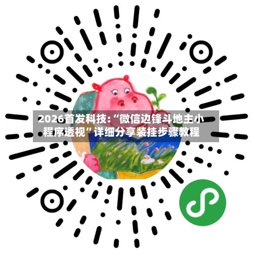 2026首发科技:“微信边锋斗地主小程序透视”详细分享装挂步骤教程-第2张图片