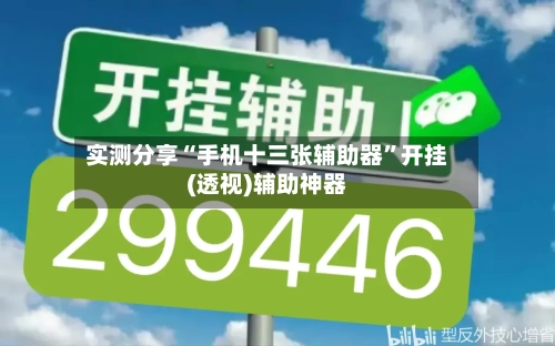 实测分享“手机十三张辅助器”开挂(透视)辅助神器-第2张图片