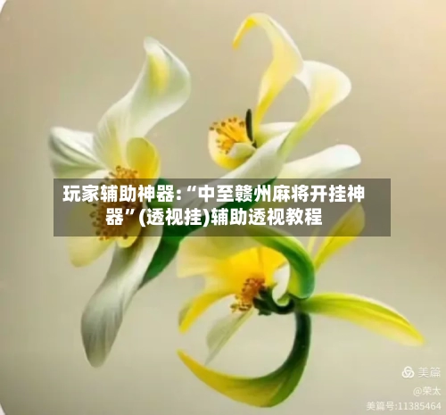 玩家辅助神器:“中至赣州麻将开挂神器”(透视挂)辅助透视教程-第2张图片