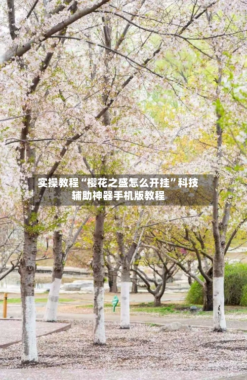 实操教程“樱花之盛怎么开挂”科技辅助神器手机版教程-第3张图片