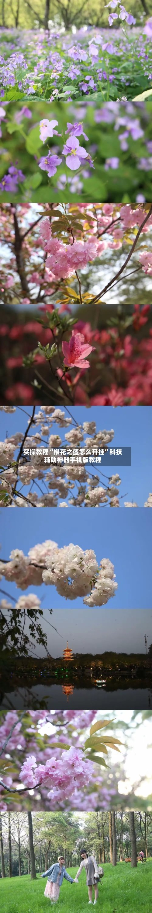 实操教程“樱花之盛怎么开挂”科技辅助神器手机版教程