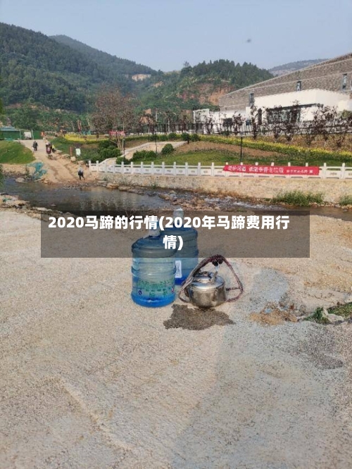 2020马蹄的行情(2020年马蹄费用行情)