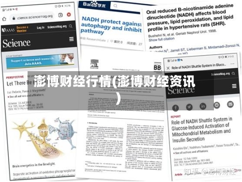 澎博财经行情(澎博财经资讯)