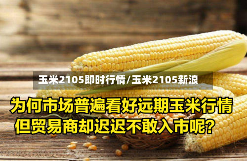 玉米2105即时行情/玉米2105新浪