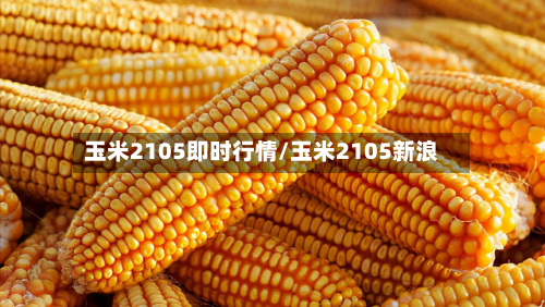 玉米2105即时行情/玉米2105新浪-第3张图片