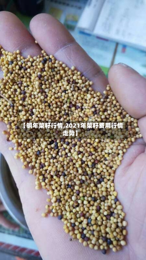 【明年菜籽行情,2021年菜籽费用行情走势】-第2张图片