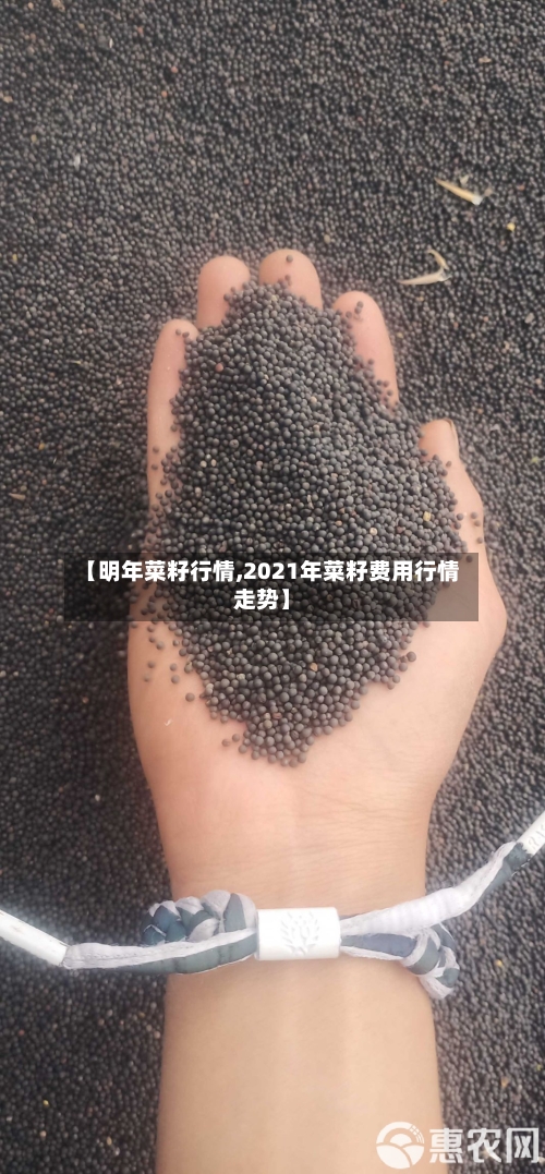 【明年菜籽行情,2021年菜籽费用行情走势】