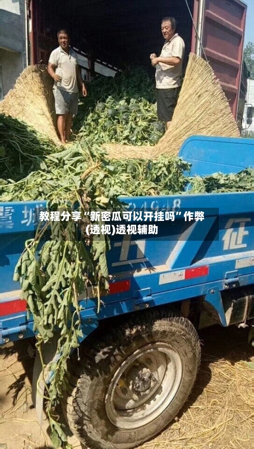 教程分享“新密瓜可以开挂吗”作弊(透视)透视辅助