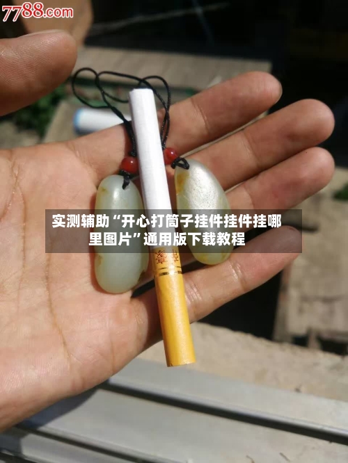实测辅助“开心打筒子挂件挂件挂哪里图片”通用版下载教程-第3张图片