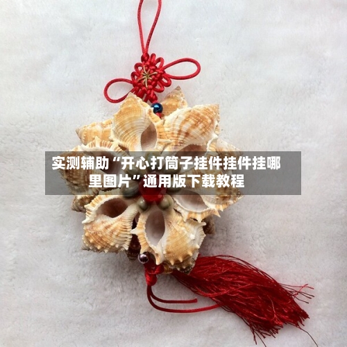 实测辅助“开心打筒子挂件挂件挂哪里图片”通用版下载教程-第2张图片