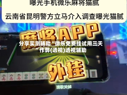 分享实测辅助“微乐免费挂试用三天”作弊(透视)透视辅助