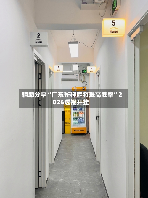 辅助分享“广东雀神麻将提高胜率”2026透视开挂-第2张图片