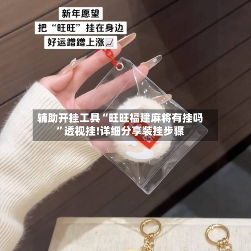 辅助开挂工具“旺旺福建麻将有挂吗”透视挂!详细分享装挂步骤