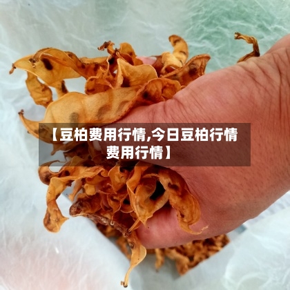 【豆柏费用行情,今日豆柏行情费用行情】-第2张图片