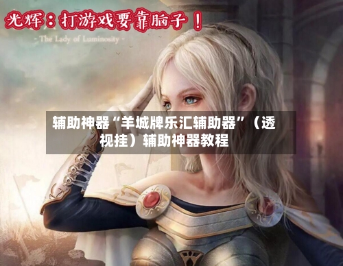 辅助神器“羊城牌乐汇辅助器”（透视挂）辅助神器教程-第3张图片