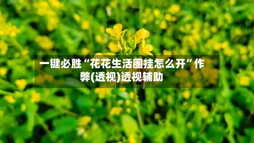 一键必胜“花花生活圈挂怎么开”作弊(透视)透视辅助-第3张图片