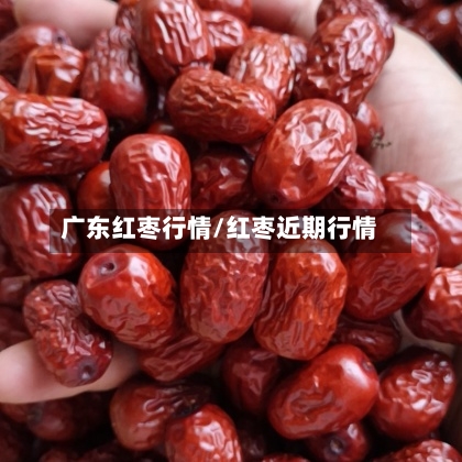广东红枣行情/红枣近期行情