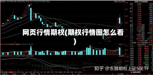 网页行情期权(期权行情图怎么看)-第2张图片
