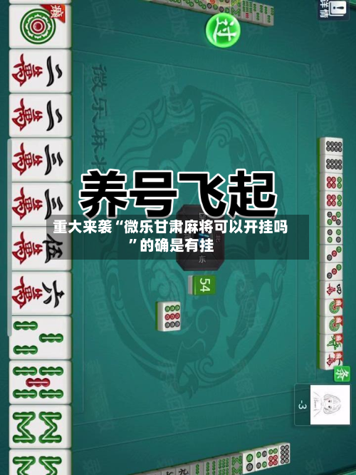 重大来袭“微乐甘肃麻将可以开挂吗”的确是有挂-第2张图片