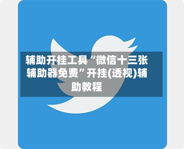 辅助开挂工具“微信十三张辅助器免费”开挂(透视)辅助教程-第2张图片