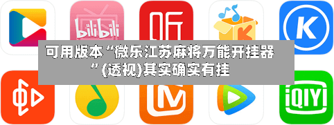 可用版本“微乐江苏麻将万能开挂器”(透视)其实确实有挂-第3张图片