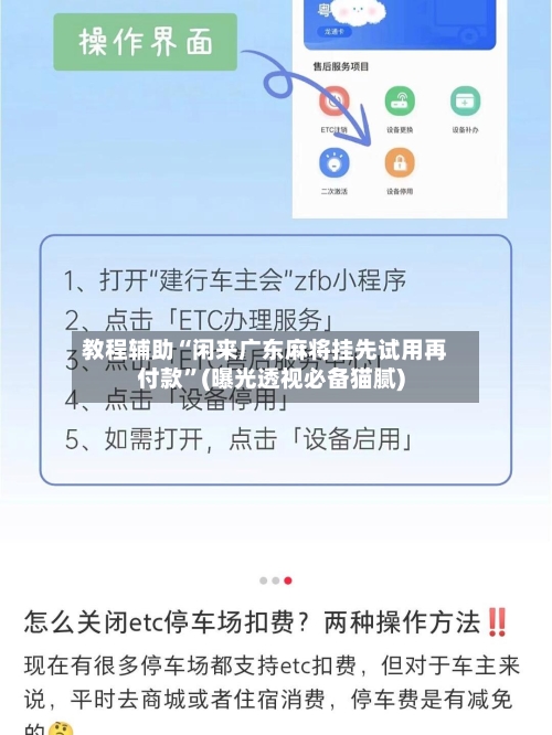 教程辅助“闲来广东麻将挂先试用再付款”(曝光透视必备猫腻)-第2张图片