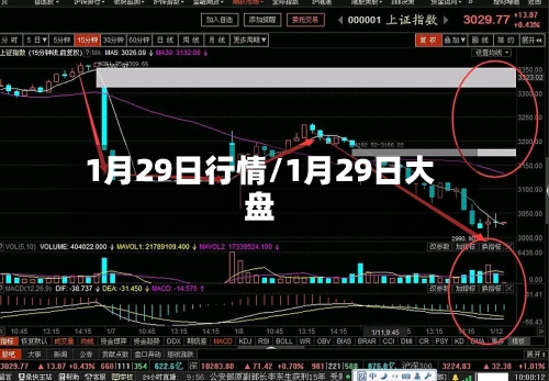 1月29日行情/1月29日大盘-第3张图片