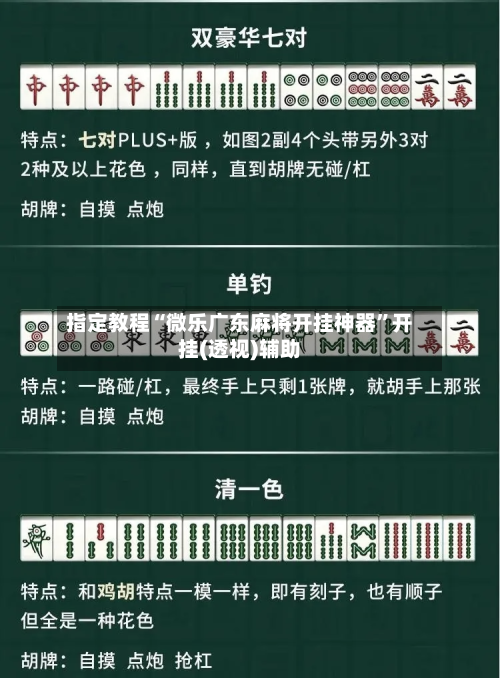 指定教程“微乐广东麻将开挂神器”开挂(透视)辅助-第2张图片