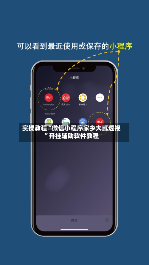实操教程“微信小程序家乡大贰透视”开挂辅助软件教程-第3张图片